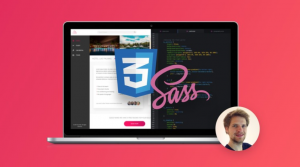 Graphic of Jonas Schmedtmann's CSS and Sass Course